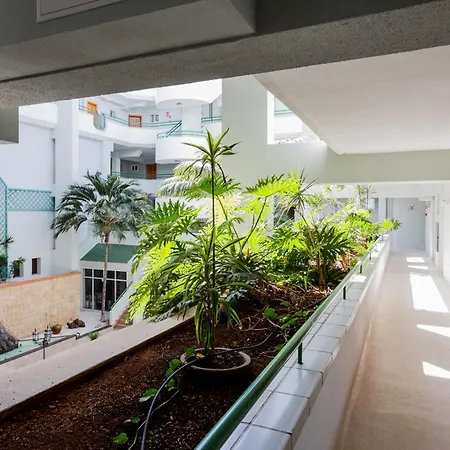 Tropical - La Caleta Appartamento *